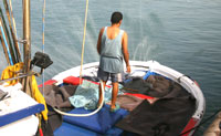Water is sprayed, imitating a school of small fish, to attract the Bonito to the surface of the water.
