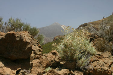 View of Mt. Teide.