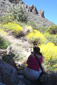 Joanna at work. (Photo courtesy of Ben Lippolt)