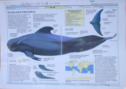 Some of the information materials.