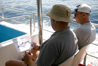 Information in different languages about the species sighted is shared among the visitors.