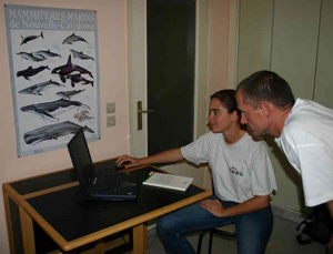 Determining what to film in the French cetacean research organisation GREC with Sophie Laran.