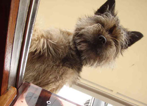 Quirky comes to tell us that it’s time to have a walk and get some fresh air.