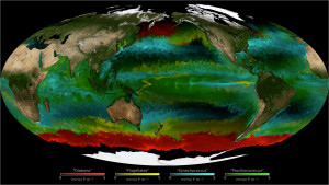 Fytoplankton in de oceanen